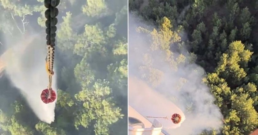 Manisa'da orman yangını devam ediyor! – Türkiye'den son dakika haberleri