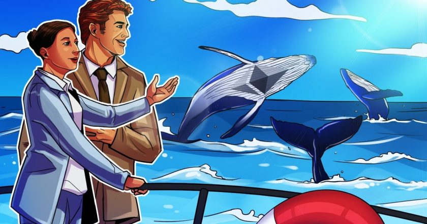 Ether arzının %57’si yalnızca 104 cüzdan tarafından kontrol ediliyor