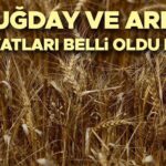 BUĞDAY ALIM FİYATLARI 2025 | TMO buğday ve hububat fiyatları ne zaman açıklanacak, buğday fiyatları belli oldu mu? İşte güncel taban fiyatları!