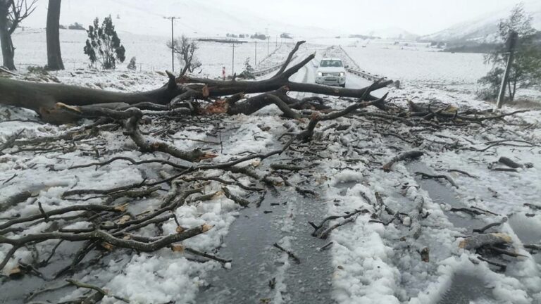 Güney Afrika’daki sel felaketinde en az 49 kişi hayatını kaybetti