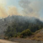 Karabük’te orman yangını – Son Dakika Haberleri