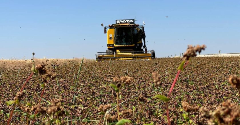 Çiftçilere destekleme ödemesi bugün yapılacak