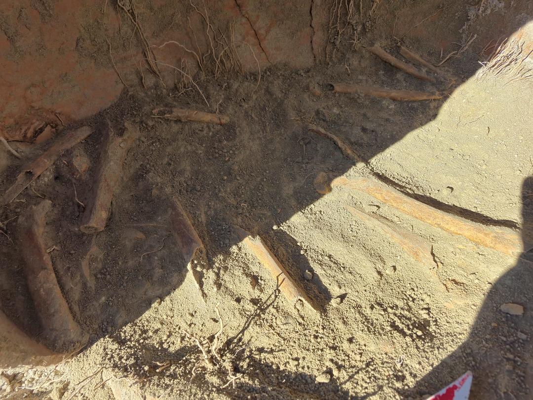 Yer: Denizli! 5 kavanozda insan kemikleri bulundu 2