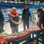 Tezgahta “kolyoz” balığına rastlandı: Balık satışlarına geniş kapsamlı denetim!